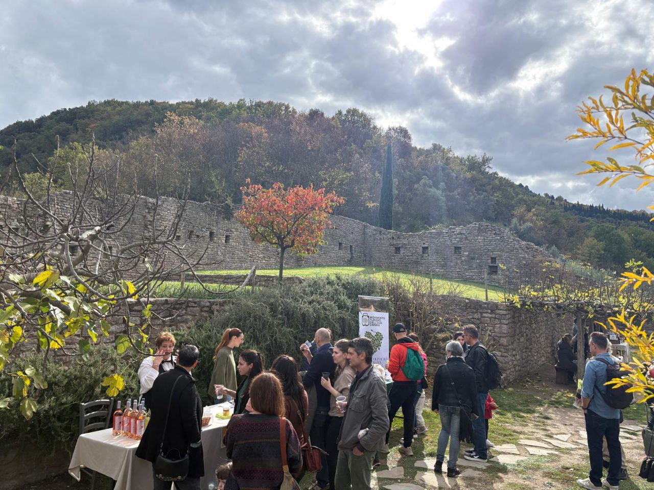 Bosco San Francesco
